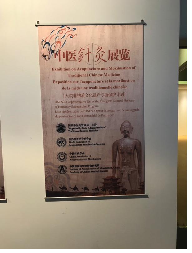 Ohr-Akupunktur in der Praxis