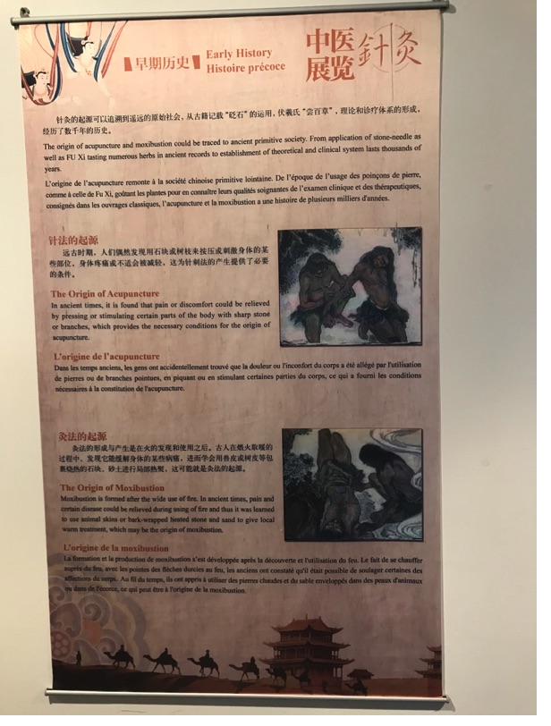 Akupunktur-Poster: Traditionelle Chinesische Medizin