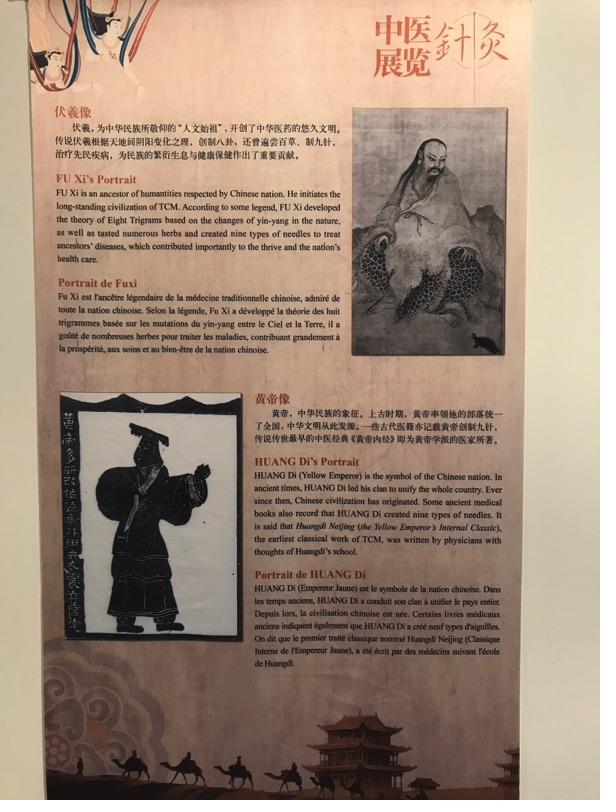 Akupunktur-Poster 3