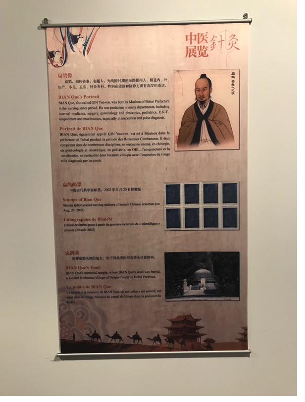 Akupunktur-Poster 5