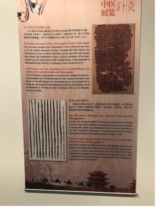Akupunktur-Poster 6
