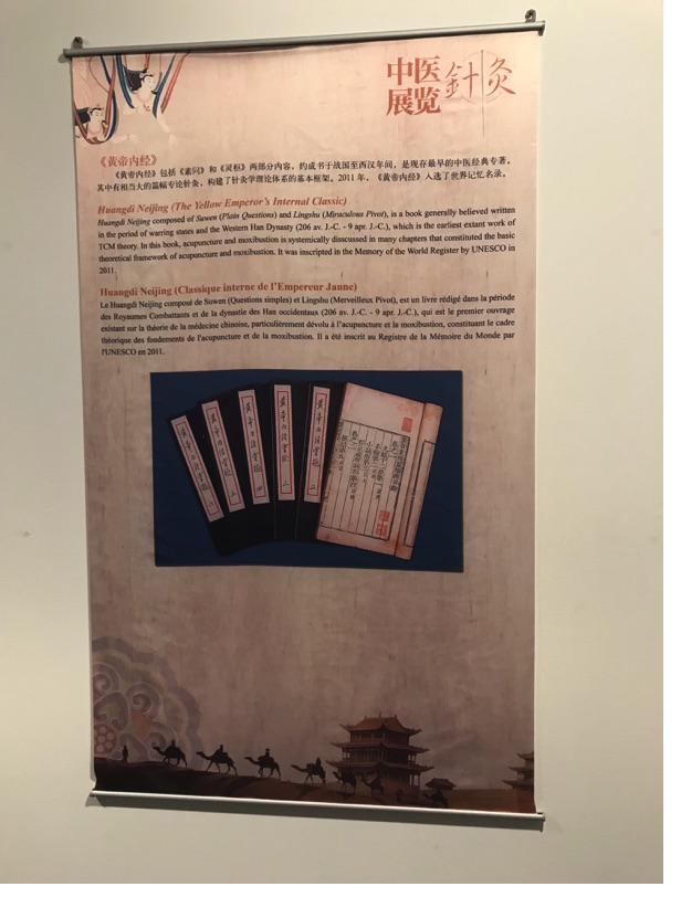 Akupunktur-Poster 7