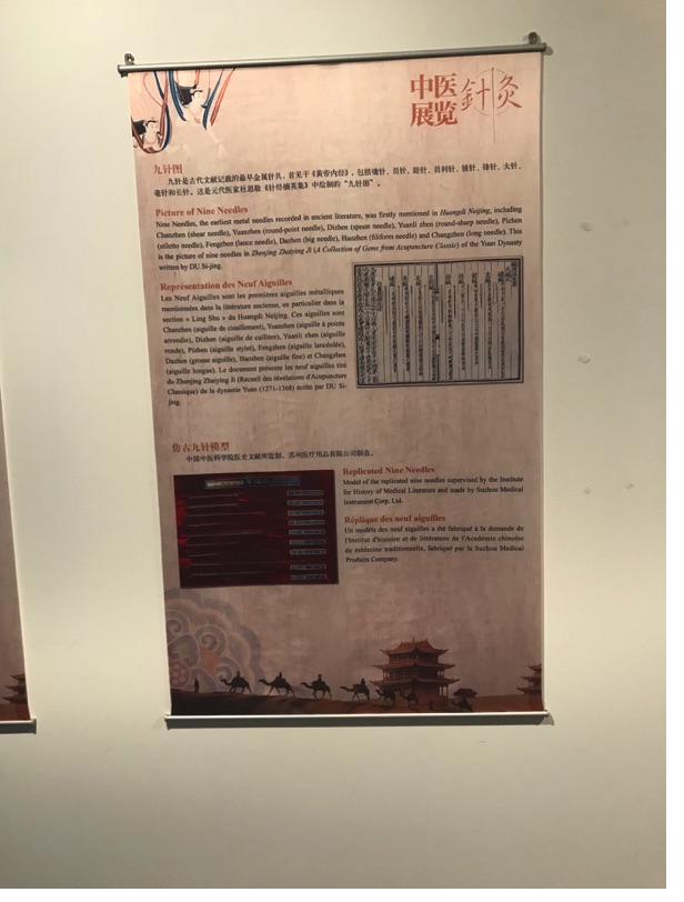 Akupunktur-Poster 8