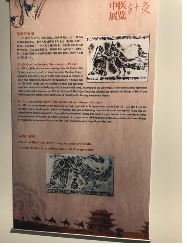 Akupunktur-Poster 9