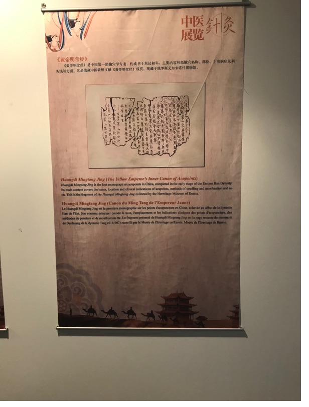 Akupunktur-Poster 10