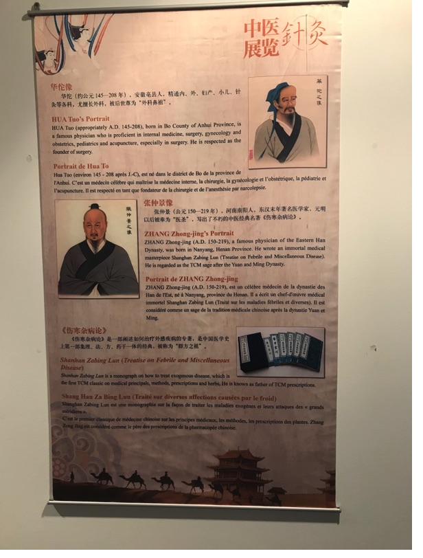 Akupunktur-Poster 11