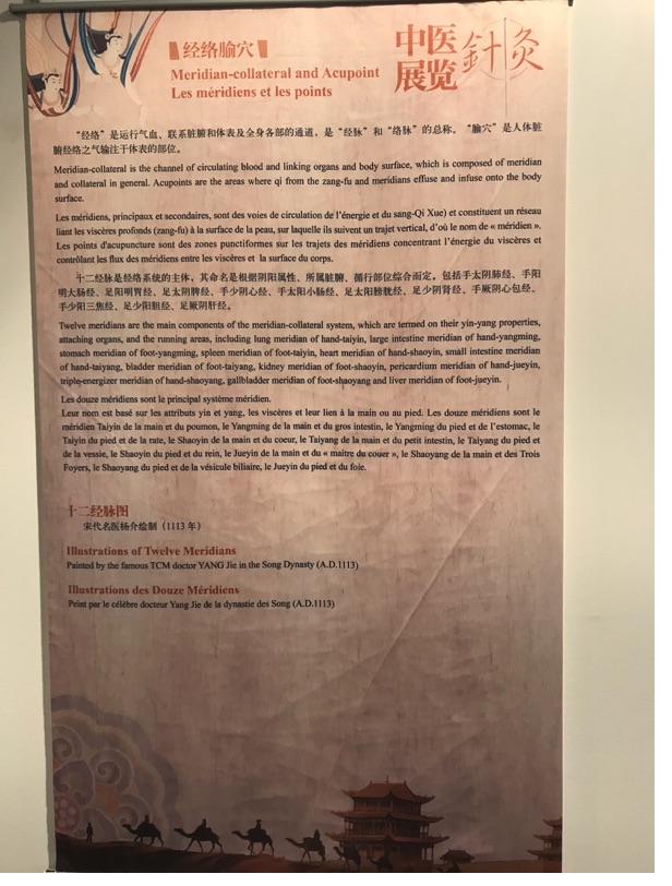 Akupunktur-Poster 12