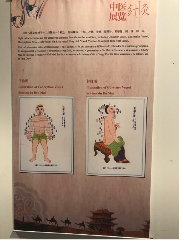 Akupunktur-Poster 14