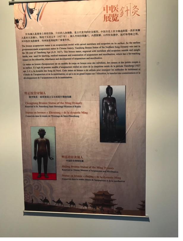 Akupunktur-Poster 17