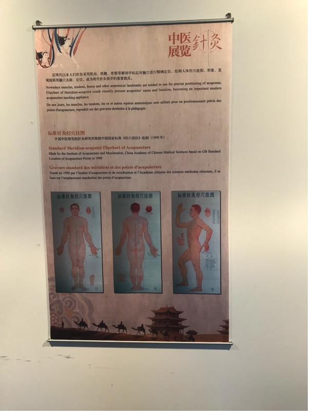 Akupunktur-Poster 18