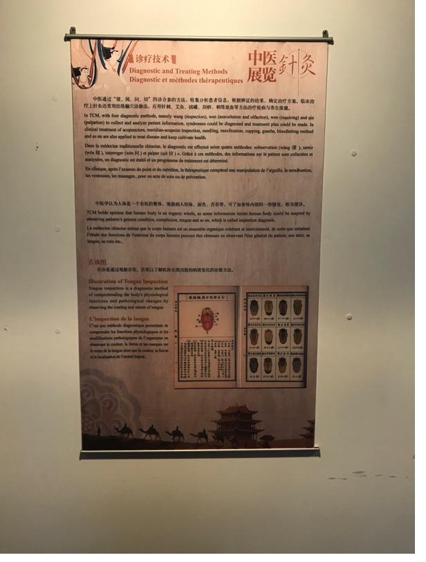 Akupunktur-Poster 19