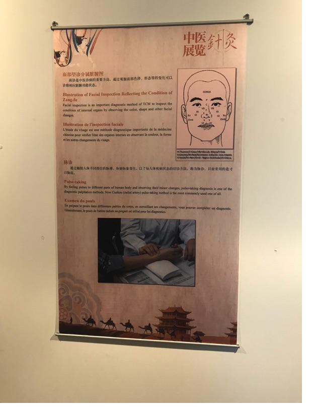 Akupunktur-Poster 20