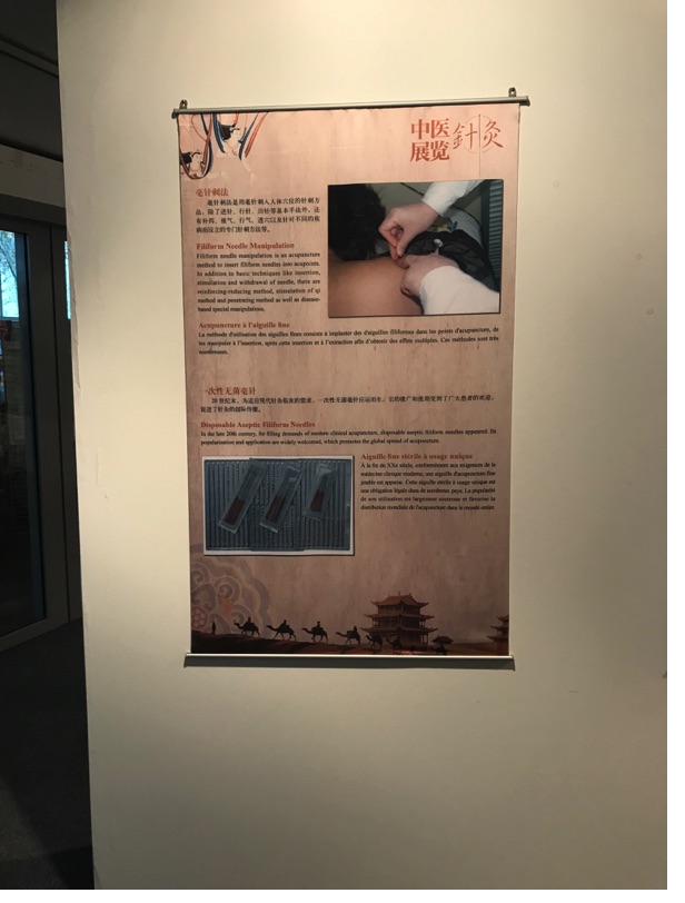 Akupunktur-Poster 23