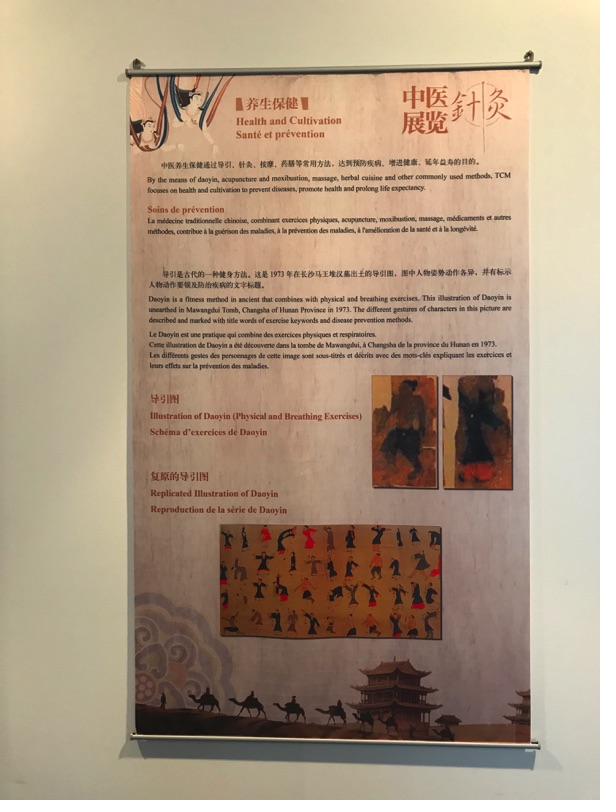 Akupunktur-Poster 31