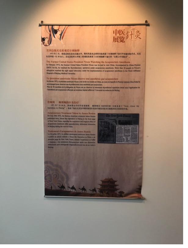 Akupunktur-Poster 35
