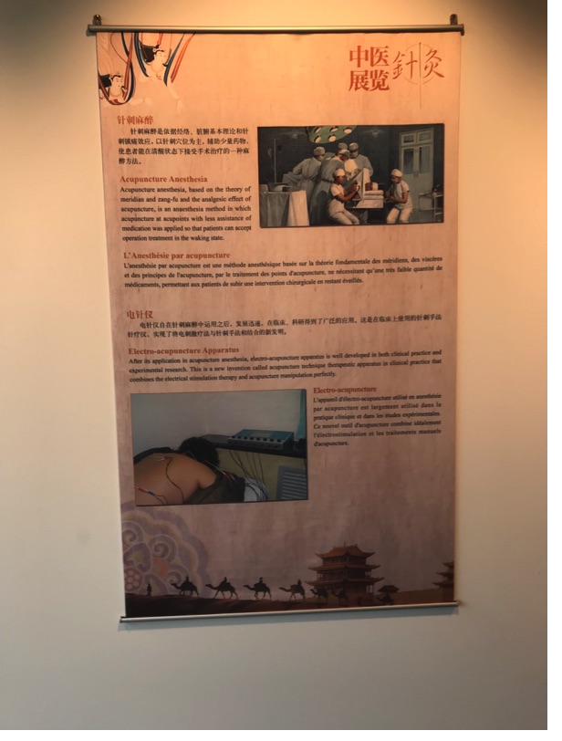 Akupunktur-Poster 36