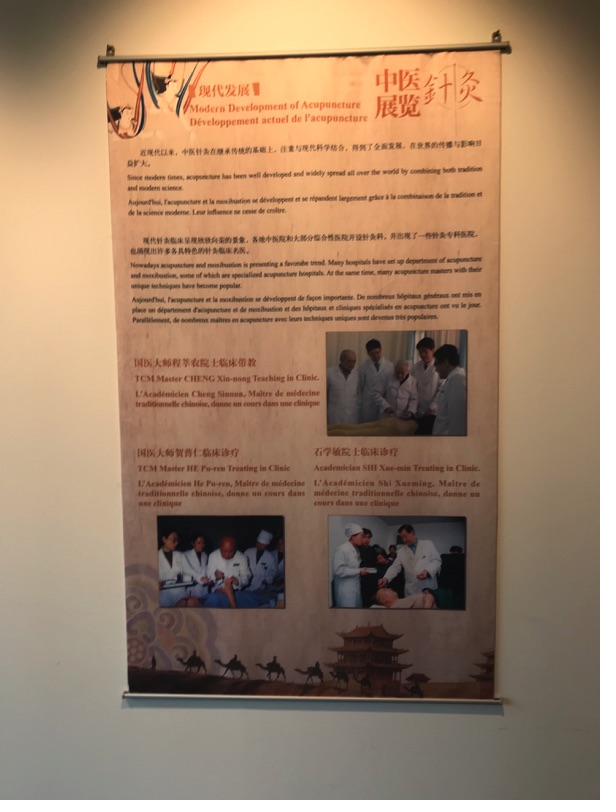 Akupunktur-Poster 37