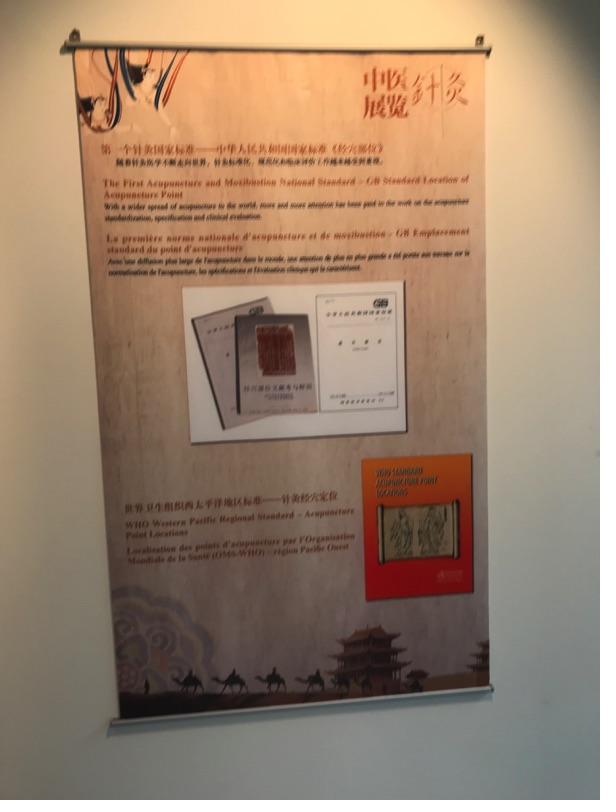 Akupunktur-Poster 38