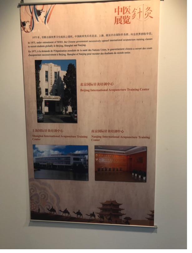 Akupunktur-Poster 40