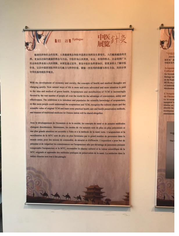 Akupunktur-Poster 41