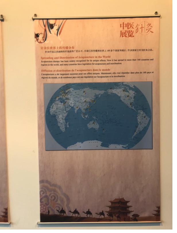 Akupunktur-Poster 43